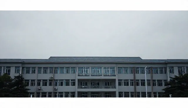沈阳网页设计:自建官网与外包定制的取舍分析